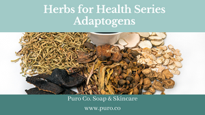 Herbs for Health: Adaptogens