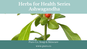 Ashwagandha - Herbs For Health