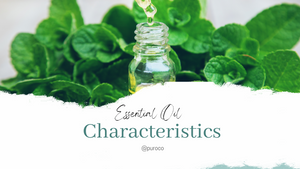 What are the Characteristics of an Essential Oil?