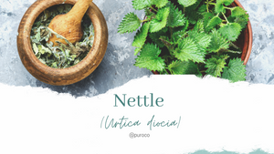 Nettle