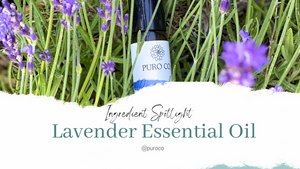 Ingredient Spotlight: Lavender Essential Oil