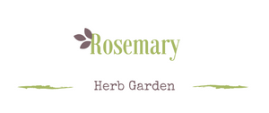 Growing a Medicinal Garden: Rosemary