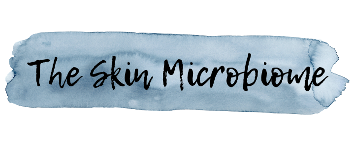 Skin Microbiome - Why we want bacteria on our skin!