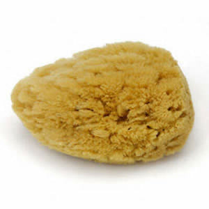 Sea Sponge for Skin Cleansing